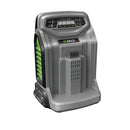 Green and grey single-port battery charger
