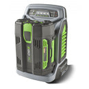 Green and grey single-port battery charger