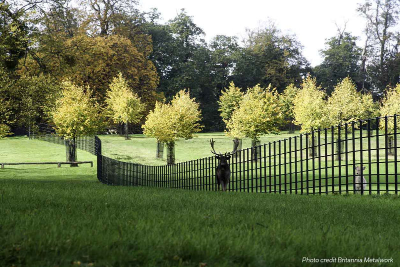 Estate Fencing down the middle of a field with trees and Deer Stags